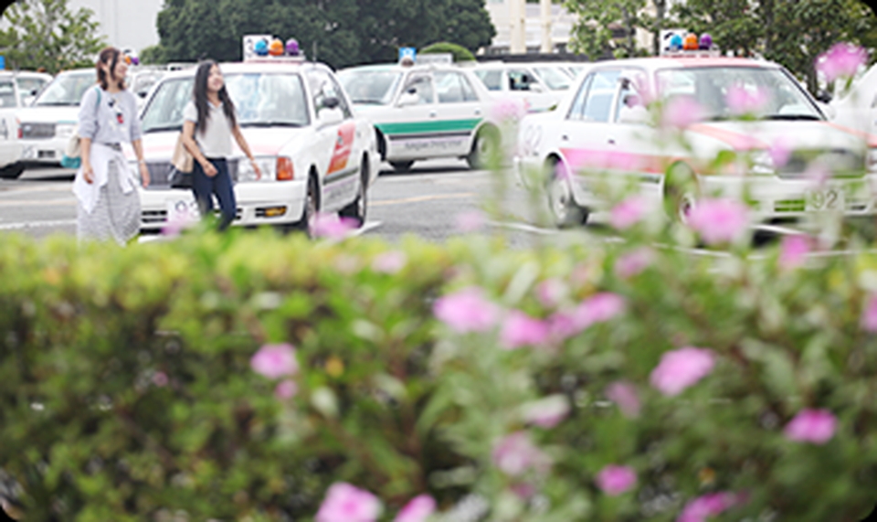 掛川自動車学校の安心、格安、丁寧な予約は運転免許受付センター